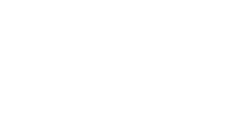 Style Mafia logo